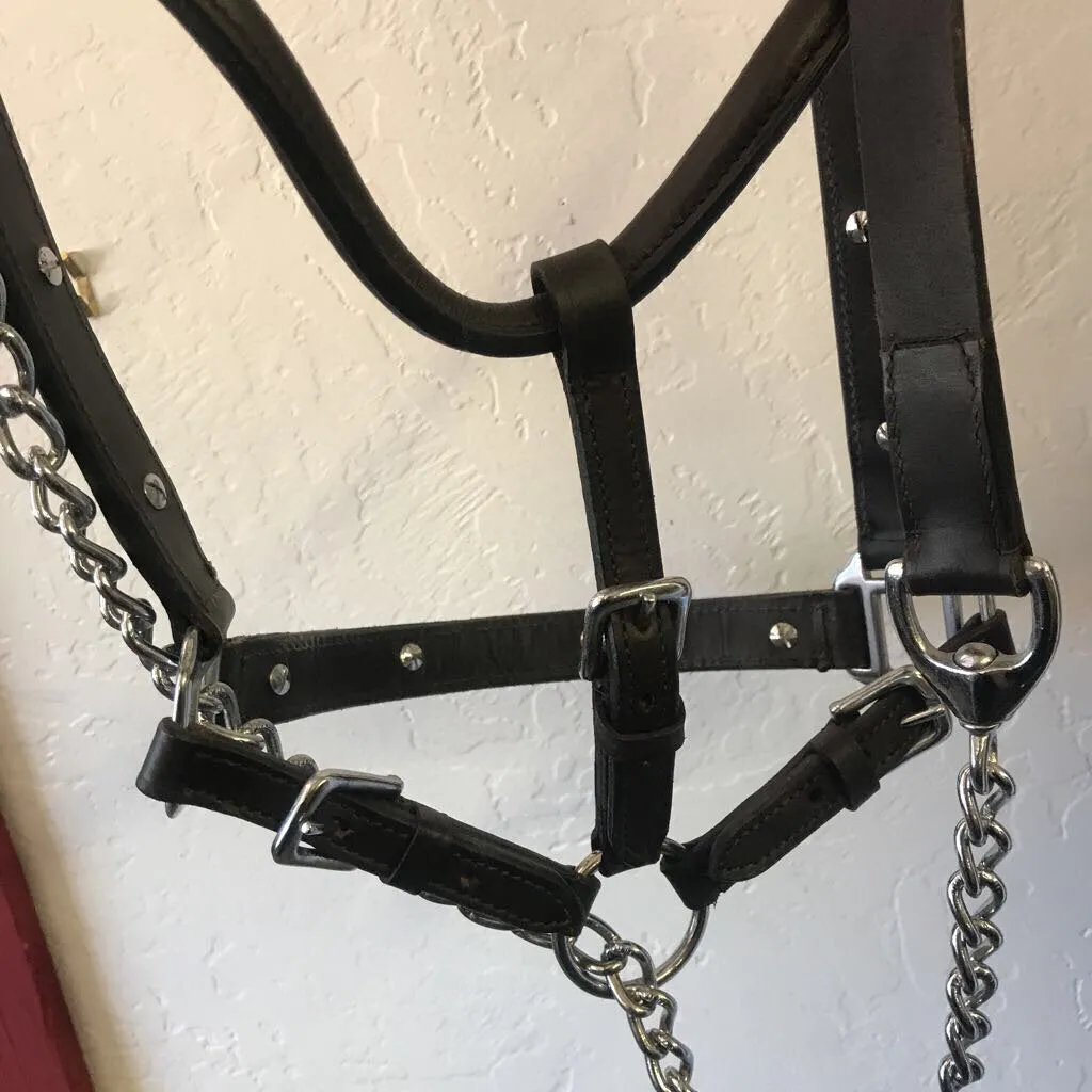 Show Halter No Brand Show Halter